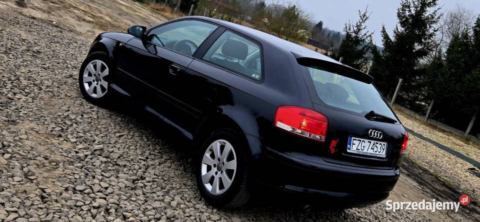 Audi a3 8p 16 mpi Zadbana Zarejestrowana bez A3 lubuskie Żagań