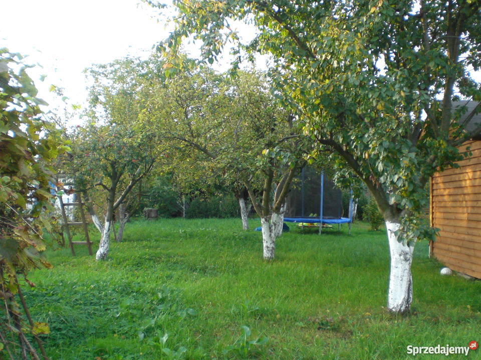 Sprzedam działkę ogrodniczą woda