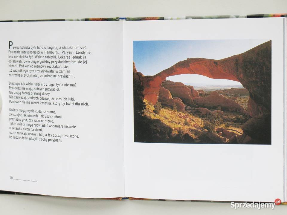 Słoneczne promyki przyjaźni Kraków