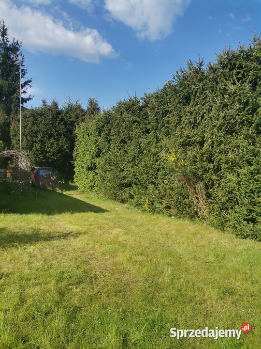 Działka ROD w Kamieńczyku kWyszkowa 500m2 mazowieckie Kamieńczyk