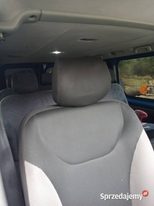Samochód Renault Trafic kupiony w Polsce Rudki