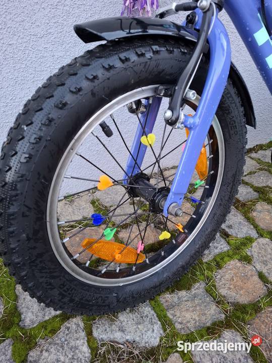 Rower Trek Precaliber 16 Babimost