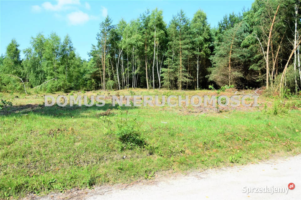 Grunt na sprzedaż Taurów 29000m2