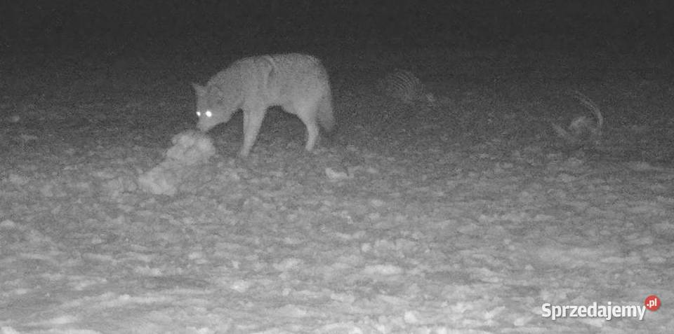 Monokular Noktowizor night vision cyfrowy NH3 Nowy Sącz