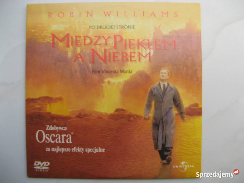 DVD Bezsenność Między piekłem a niebem Robin Poznań sprzedam