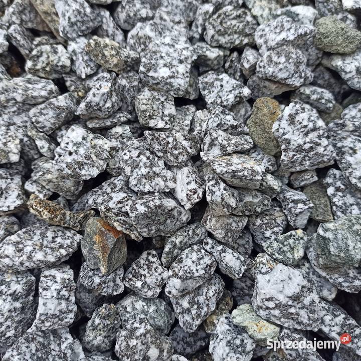 Grys Granitowy Dalmatian szary Kamień ozdobny Jaworzno