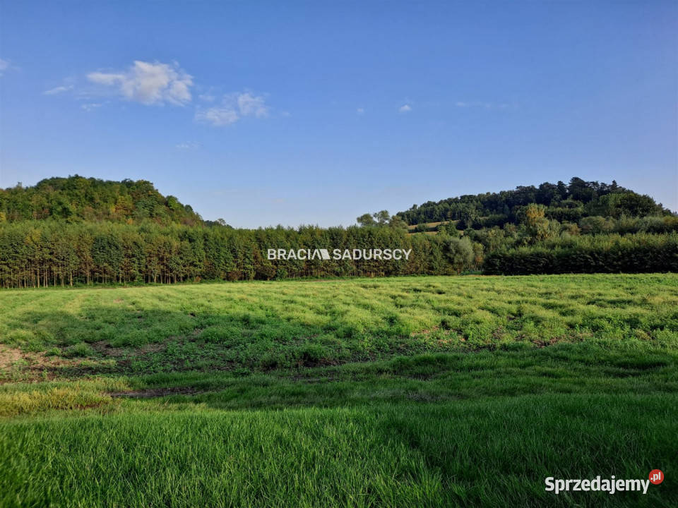 Grunt Polekarcice 4800m2 4800m2