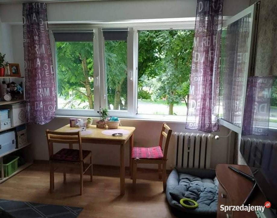 KAWALERKA TORUŃ NAJEM OKAZJONALNY Wynajem Toruń