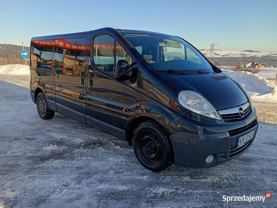 Sprzedam Opel Vivaro 20 CDTI 116 wersja Long 3 213200km Grybów