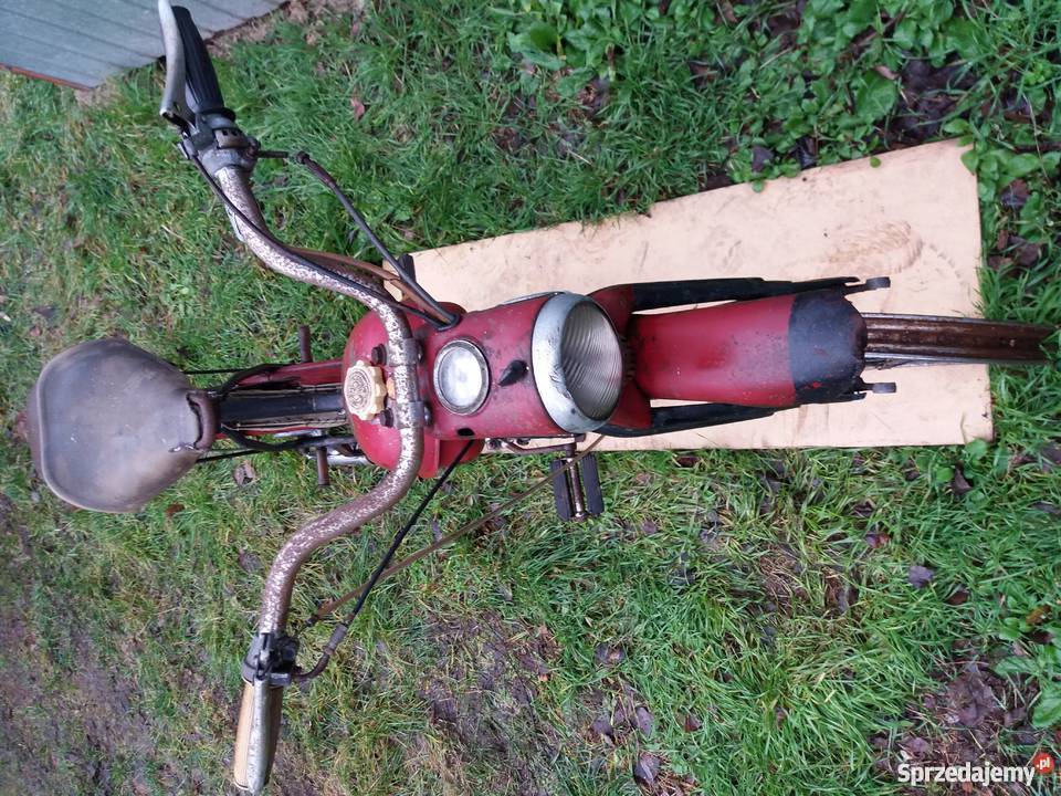 Komar sztywniak 1967