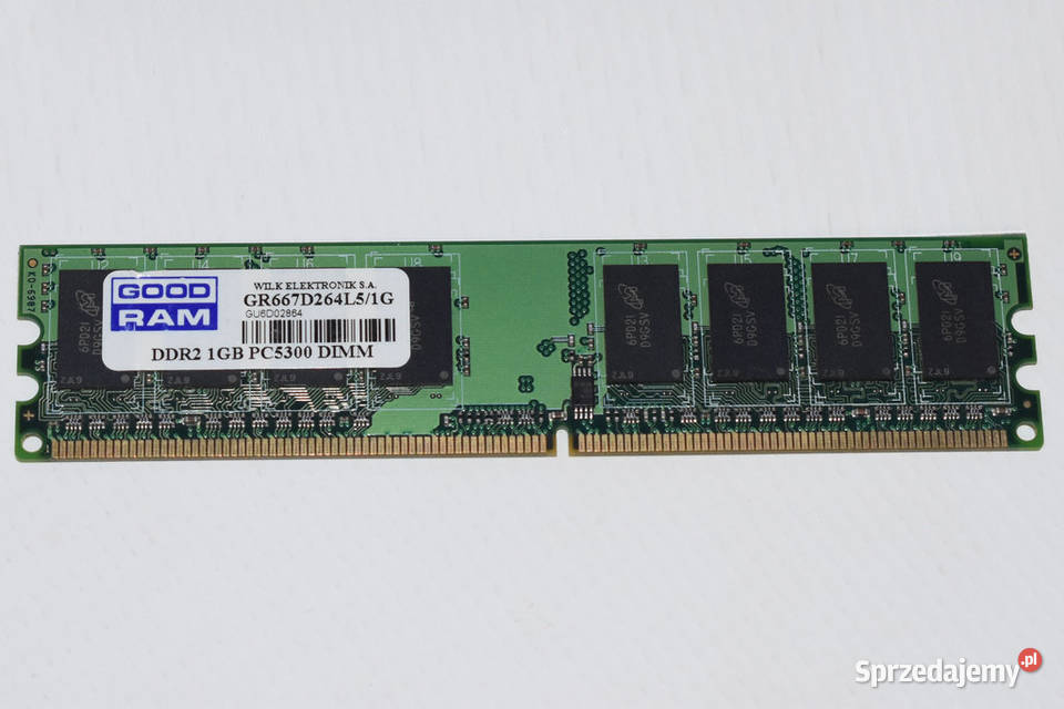 Pamięć RAM DDR2 PC5300 1GB Goodram Kępno