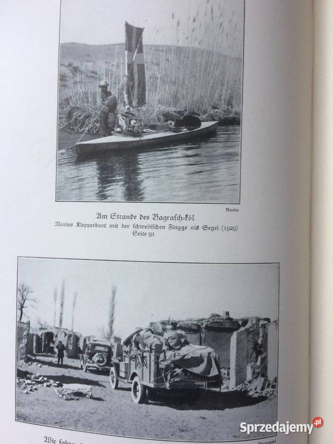 3604 Die Flucht Des Grossen Pferdes sprzedam