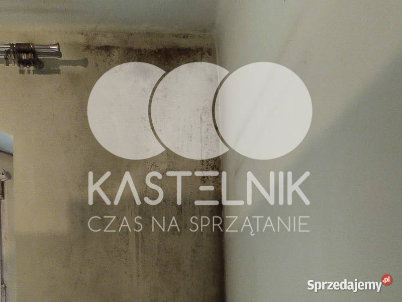 Odgrzybianie ścian Świecie Kastelnik Usuwanie