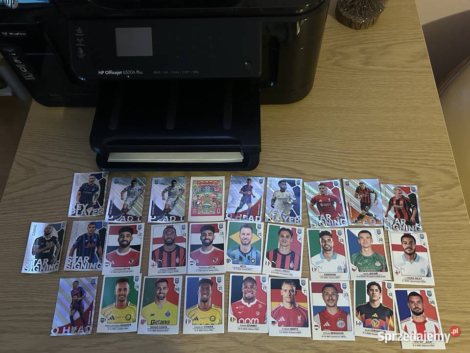 Naklejki panini fifa 365 Puszczykowo sprzedam