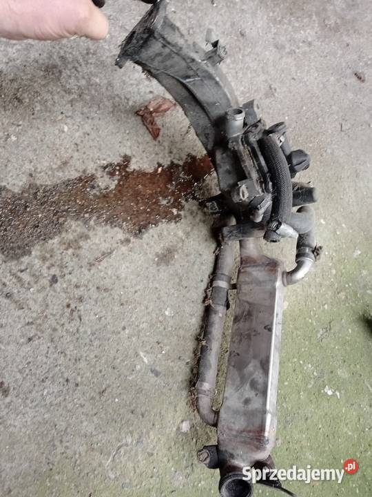 Mercedes a612142027 CDI ml podgrzewacz paliwa Kolektory ssące Czernikówko sprzedam