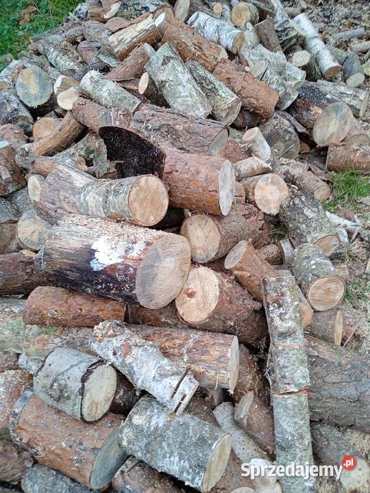 Sprzedam drewno opalowe Wygnanów