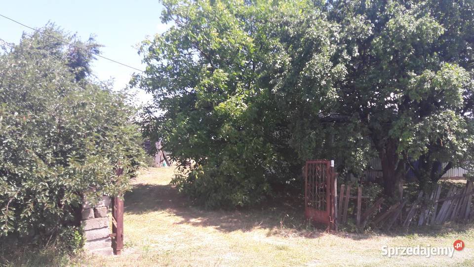 Siedlisko z domem Podwierzbie