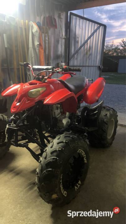 Zonsghen 250 Bashan Xtr loncin 125 200 150 mat Dębica