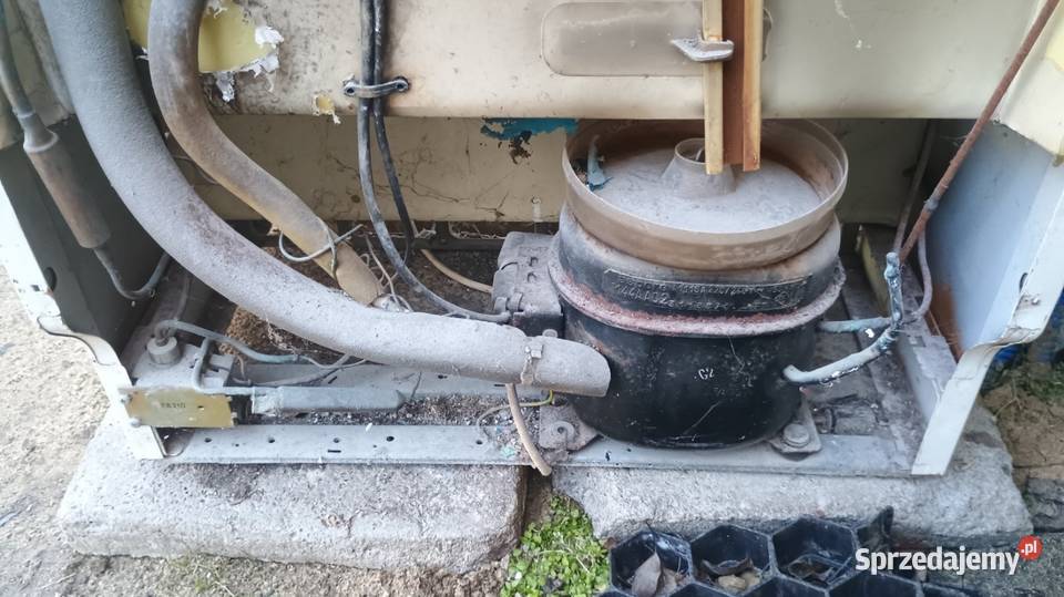 Lodówki zamrażarka Siemens 190 wys Sprawna Oddam 60cm Gronowo