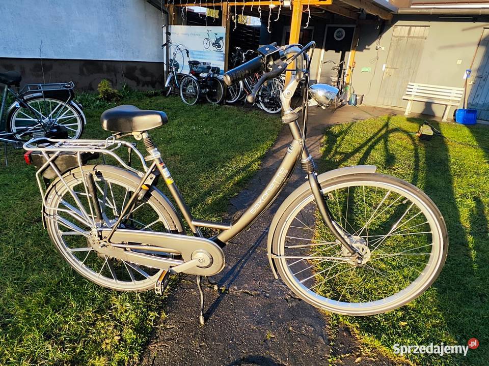 Rower z silnikiem spalinowy SAXONETTE LUXUS Rogów