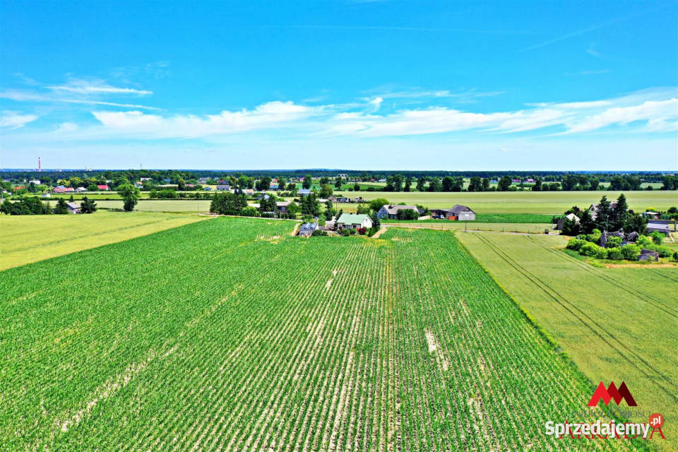 Działka Brzezie 6121m2 34zł/m2