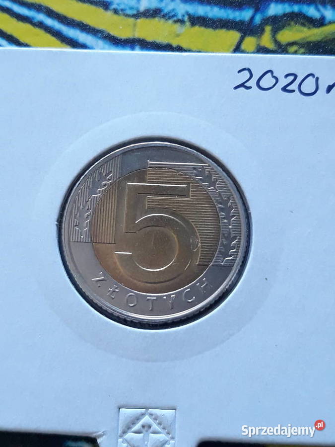 5 2020 rnajrzadszamennicza Konin sprzedam