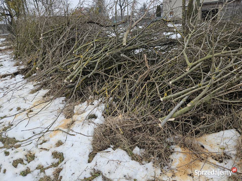 Oddam gałęzie sprzedam