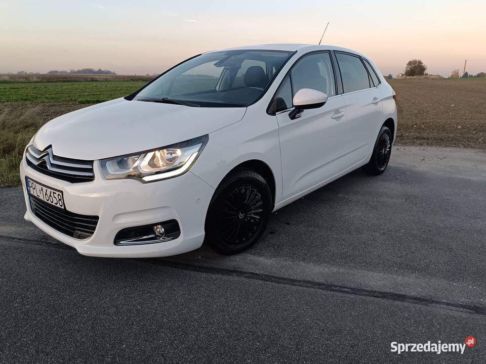 Citroen C4Pierwszy właściciel sprowadzony wielkopolskie Pleszew