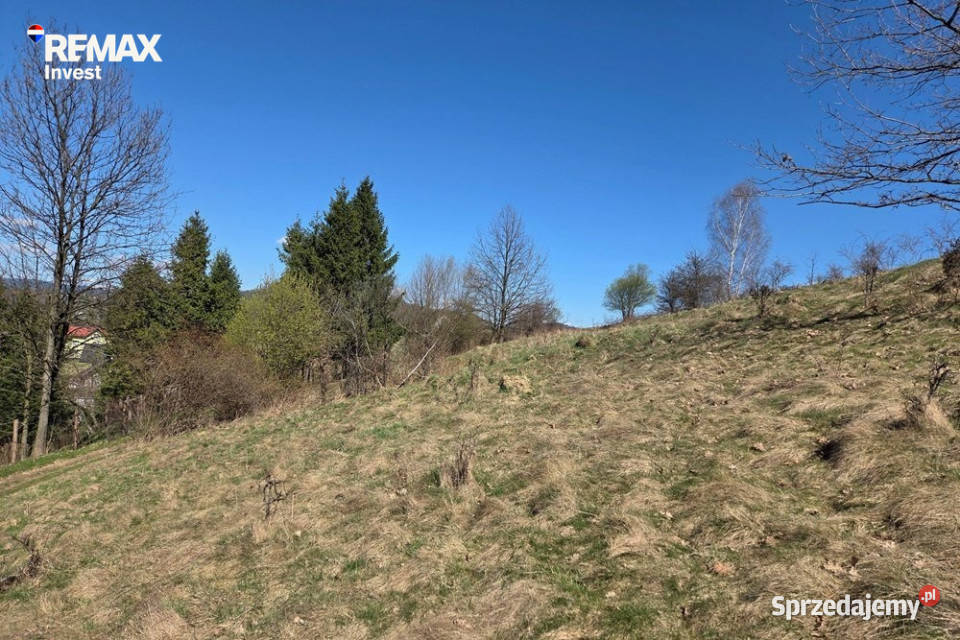 Działka budowlana w górach 991m2 śląskie Trzebinia sprzedam
