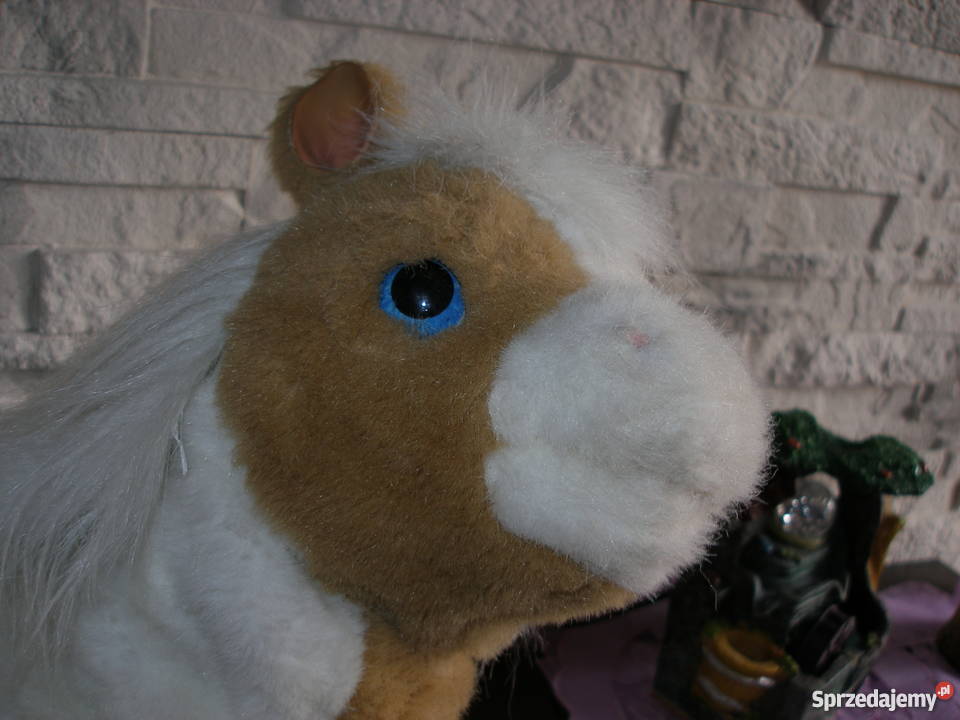 Interaktywny źrebaczek OKAZJA podlaskie Suwałki sprzedam