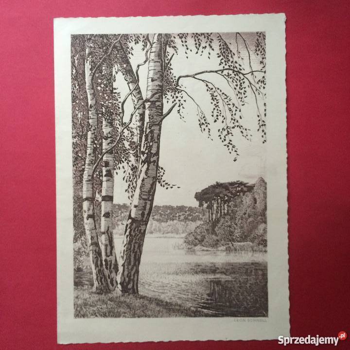 Telegram 6 zachodniopomorskie Szczecin