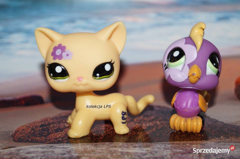 LPS Littlest Pet Shop shorthair 1962 oryginalny Figurki Rybnik