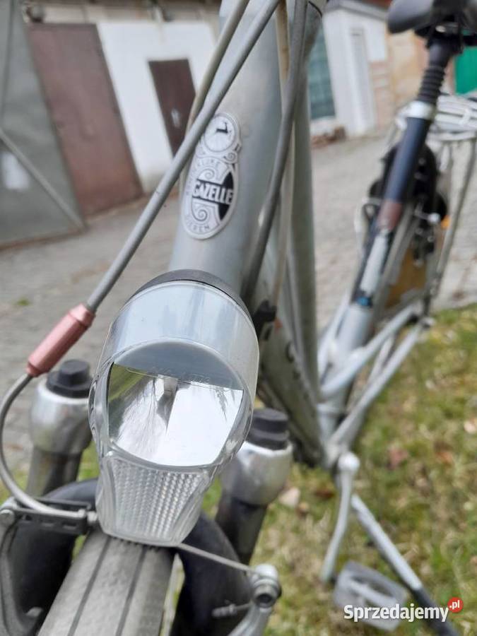 Gazelle Przywieziona z Holandii Korbielów