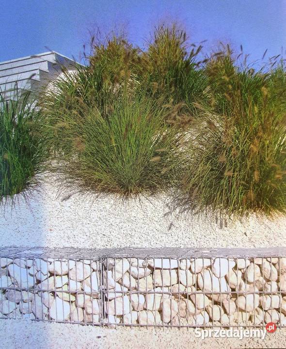 Otoczak Selina kamień ogrodowy jasny NOWOŚĆ Pozostałe Siemianowice Śląskie