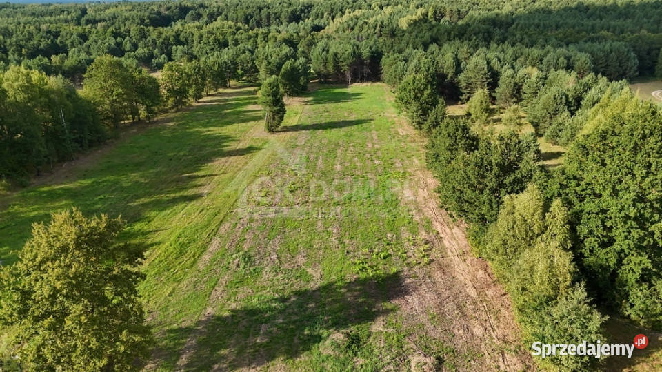 Działka na sprzedaż 910 m2 Gałęzice gm Piekoszów świętokrzyskie sprzedam