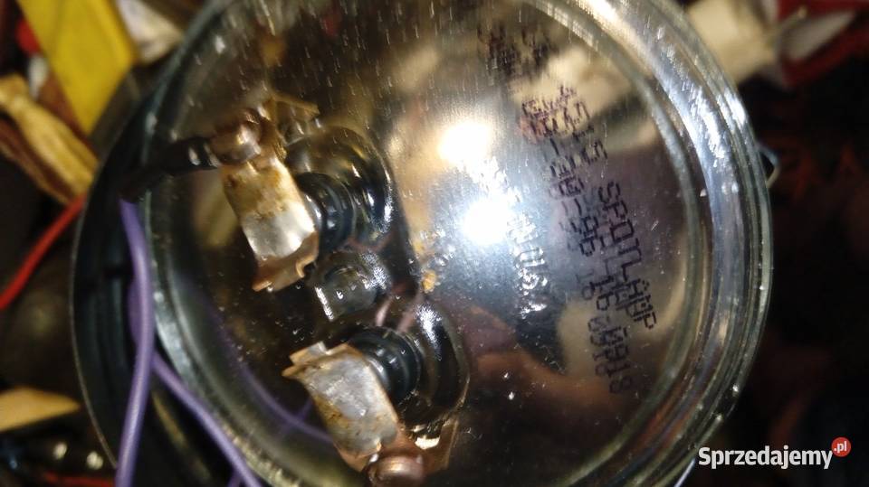 Halogen estradowy punktowy Wałbrzych