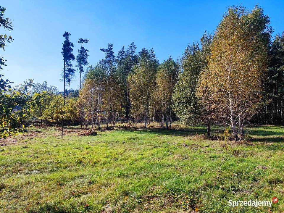 2 działki budowlane 2x 800 m2 Grębiszew Mińsk budowlana mazowieckie