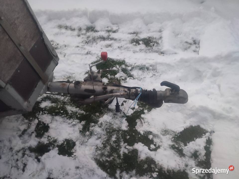 Przyczepa na konie WERTMANN Do przewozu koni