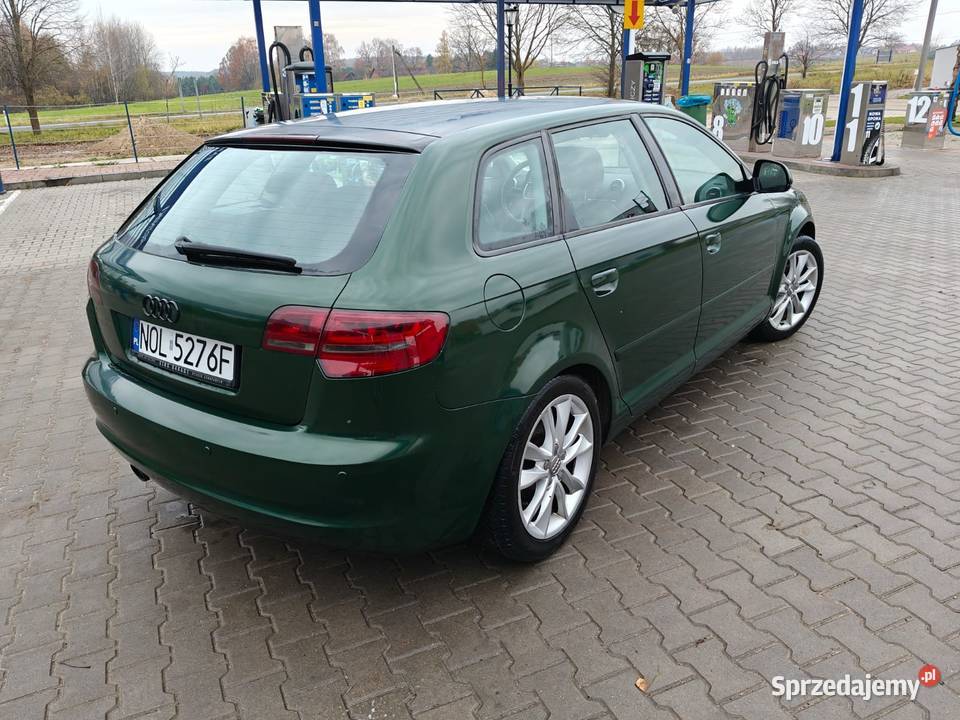 Audi A3 8P warmińsko-mazurskie Dywity