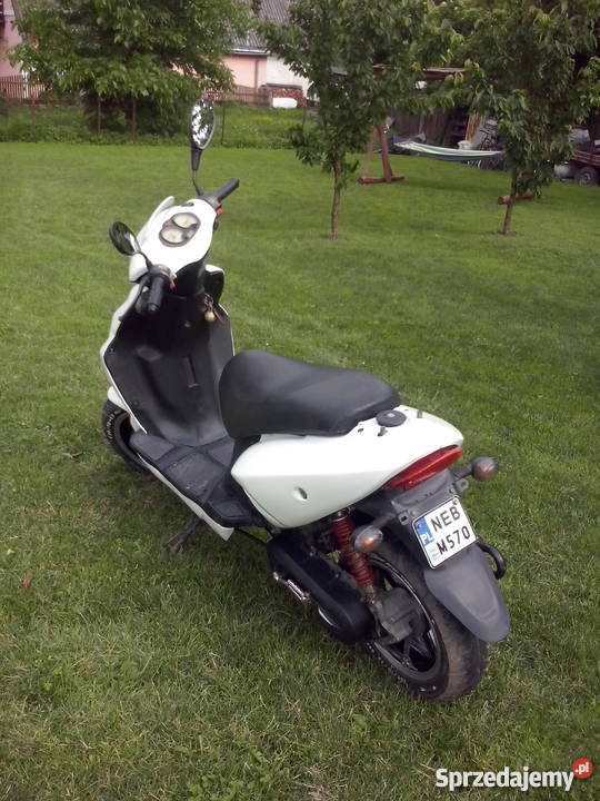 Longjia alien zipp jazzy nieuszkodzony Pasłęk