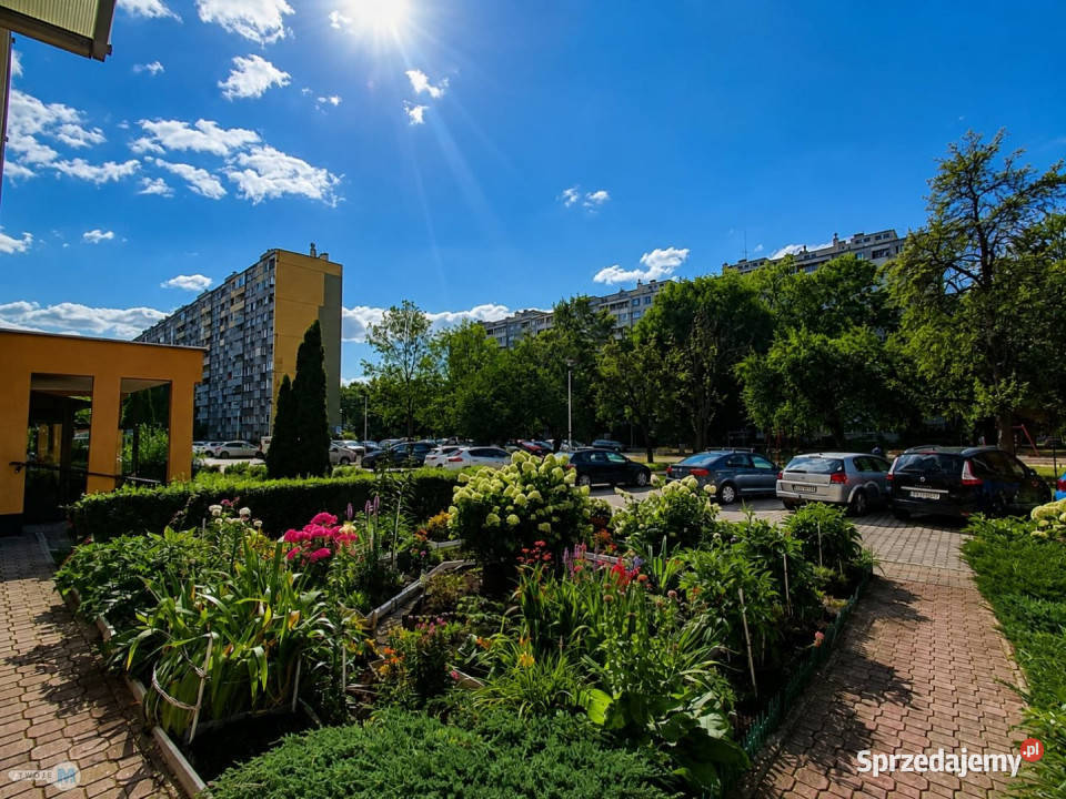 sprzedaży mieszkania 3755m2 2 pokojowe Kielce 37.55m2