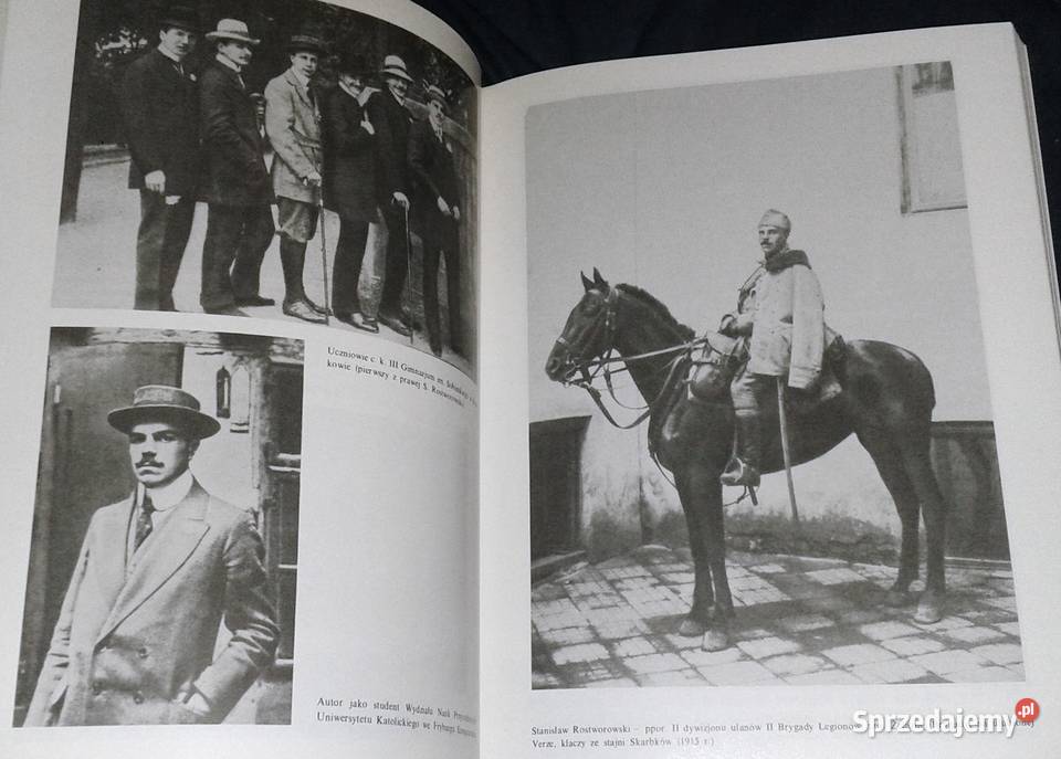 Łuna Warszawy Stanisław Rostworowski Chełm