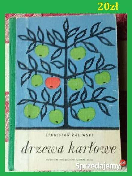 Sadownictwo Pieniążek sad rolnictwo uprawa owoce Łódź