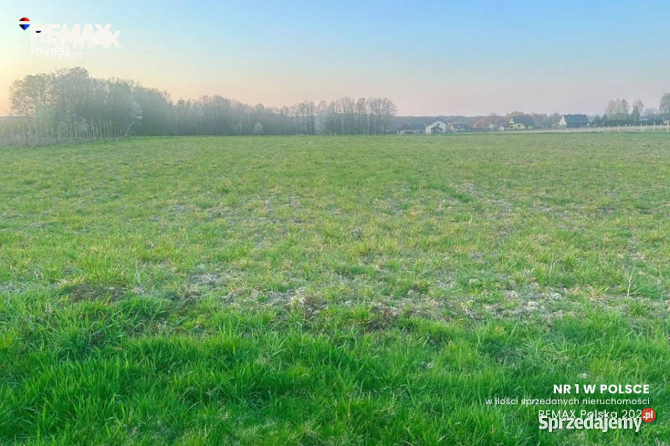 działka budowlanaPisarzowice śląskie Pisarzowice sprzedam