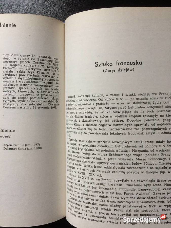 2718 Słownik Sztuki Francuskiej Szczecin sprzedam
