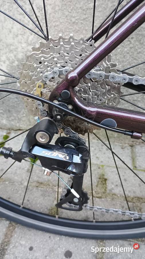 Giant Contend 1 M 2023 Piekary Śląskie