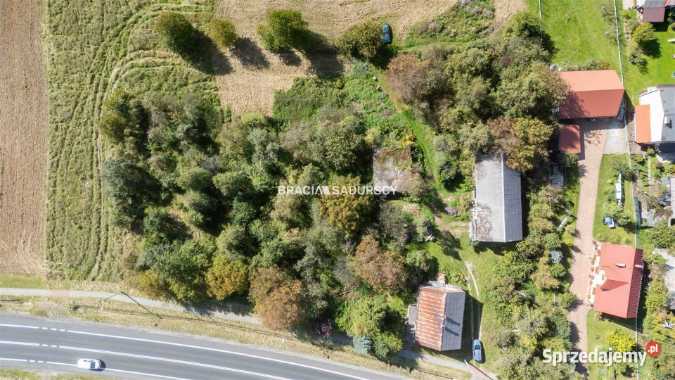 sprzedaży gruntu 9800m2 Wierzchowie Nieruchomości