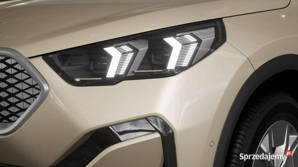 BMW iX2 iX2 eDrive20 Dostępne ręki
