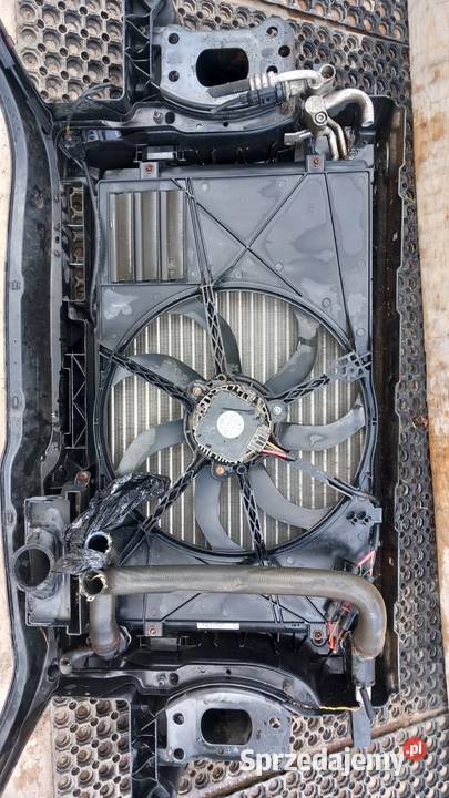 VW GOLF V 16B PAS PRZEDNI KOMPLET Pasy przednie i tylne