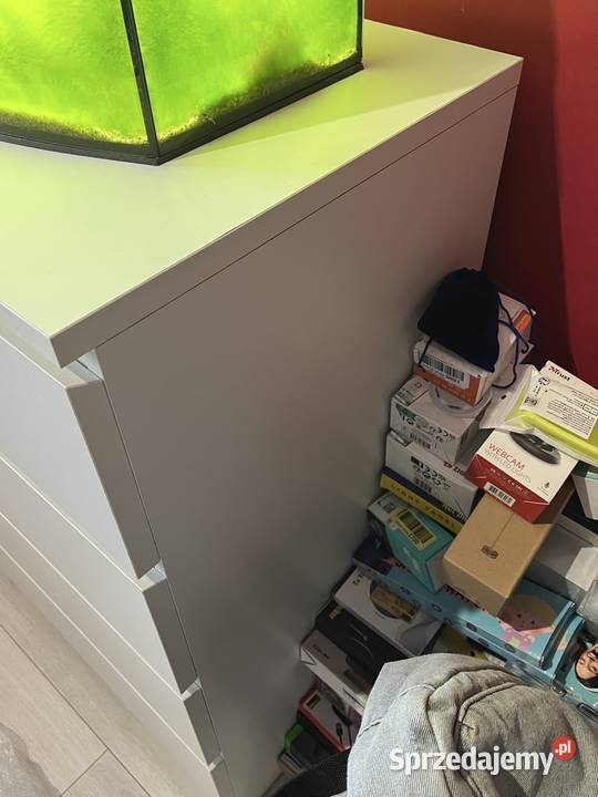 Zestaw Akwarium z Aksolotlem Z komodą Ledami sprzedam